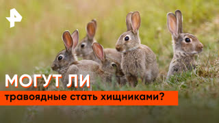 «Загадки человечества»: травоядные превращаются в хищников?